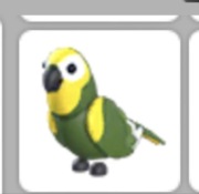 Adoot me pet green amazon