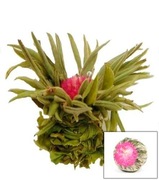 Herbata rozkwitajaca Kwiat Miłości Lichee