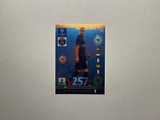 International Star Zlatan Ibrahimović 2014-2015