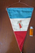 Proporczyk "RKS Broń"