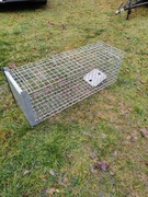 klatka na lisy kuny zywolapka żywołapka pułapka pulapka