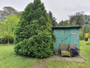 Ogródek działkowy w Legnicy przy parku