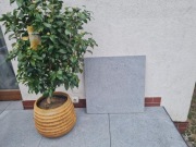 Granitowe płyty tarasowe G654