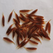 Tanta Supercontinent 35mm 10szt.