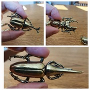 Kolekcja owadów z mosiądzu 