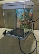 Szklane akwarium a może terrarium