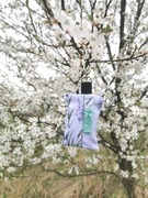 Etui pojemnik na worki woreczki na kupy