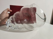 Szklana duża muszla wazon pojemnik