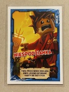 Karta LEGO Ninjago seria 1 numer 110