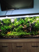 profesjonalne akwarium