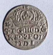 Grosz 1623, Zygmunt III Waza