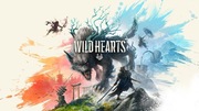 Wild Hearts - kod steam