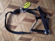 Kantar Kavalkade czarny COB nowy