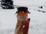 Syrop z kwiatów lipy - 200 ml