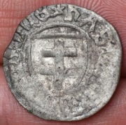 Kazimierz IV Jagiellończyk szeląg bez daty Toruń