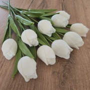 Tulipany na łodydze, zapachowe