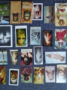 Zestaw obrazków świętych 