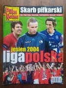 Skarb kibica I II i III ligi polskiej jesień 2004