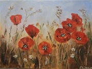 Obraz olejny 30 x 40 cm Maki na łące Kwiaty Pejzaż