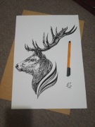 Rysunek: jeleń, cienkopis - blok tech. A3 250 g/m2