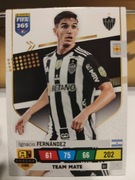 FIFA 365 2023 Fernandez 51