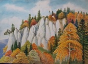 " O J C Ó W "  ADAM WIDERA ( 1913- 2005)