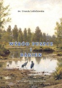 Wśród puszcz i bagien - św. Urszula Ledóchowska