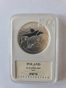 20 zł - Foka szara- 2007 rok - GCN PR70