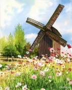 Obraz Akwarela - Wdzydze Kiszewskie, Wiatrak