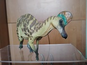 PNSO - Caroline the Corythosaurus