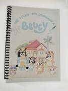 Bluey książka kolorowanka z zadaniami