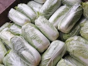 Kapusta pekińska 10 kilo prosto od rolnika wysyłka inpost