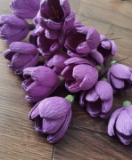 Krokus kwiaty z krepiny