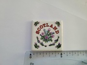 Magnes na lodówkę - 895f. SZKOCJA Płytka ceramiczna