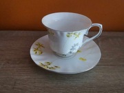 Filiżanka ze spodkiem