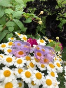 Okulary przeciwsłoneczne dziecięce