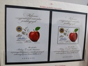 4539 Jabłko łęckie nowodruk