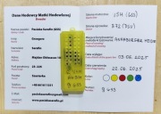 5+1 Buckfast VSH wys.18-20.05 matki pszczele jednodniowe Pasieka Wolinia 
