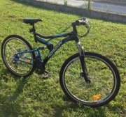 Rower HORIZON Reaper Ultra