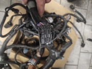 Wiązka instalacja elektryczna silnika Subaru Forester XT 