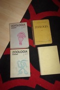 zoologia bezkręgowce matwiejew grabdy 4 książki