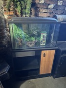 Akwarium z lampą 200 L + stolik, filtr, ozdoby.