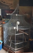 Zabytkowa klatka na duże papugi
