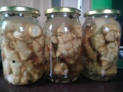 Topinambur kiszony z przy. zbiorów bez oprysków i nawozów 900ml. PREMIUM