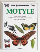 Paul Whalley - Motyle. Seria: patrzę podziwiam poznaję