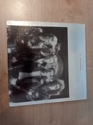 Płyta winylowa Queen The Game