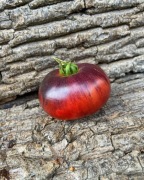 PINK CHUPA CHUPS   Pomidor Kolekcjonerski 