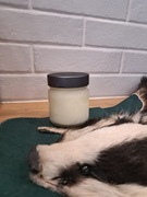 Smalec (sadło) z borsuka