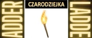 D2R ROTW CZARODZIEJKA Pochodnia Sorc Torch LADDER DIABLO2 PC