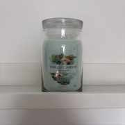 Aloe & Agave Yankee Candle świeca duża 567g